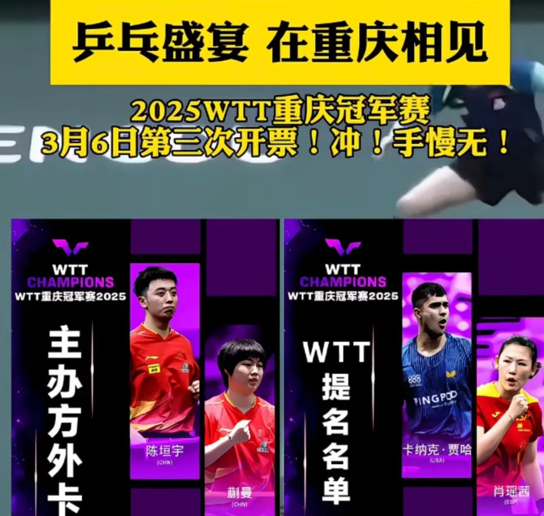 乒乓球小组赛上演强强对话，荆楚猎隼队大胜三湘银狐队，战术调整见效；教练团队居功至伟